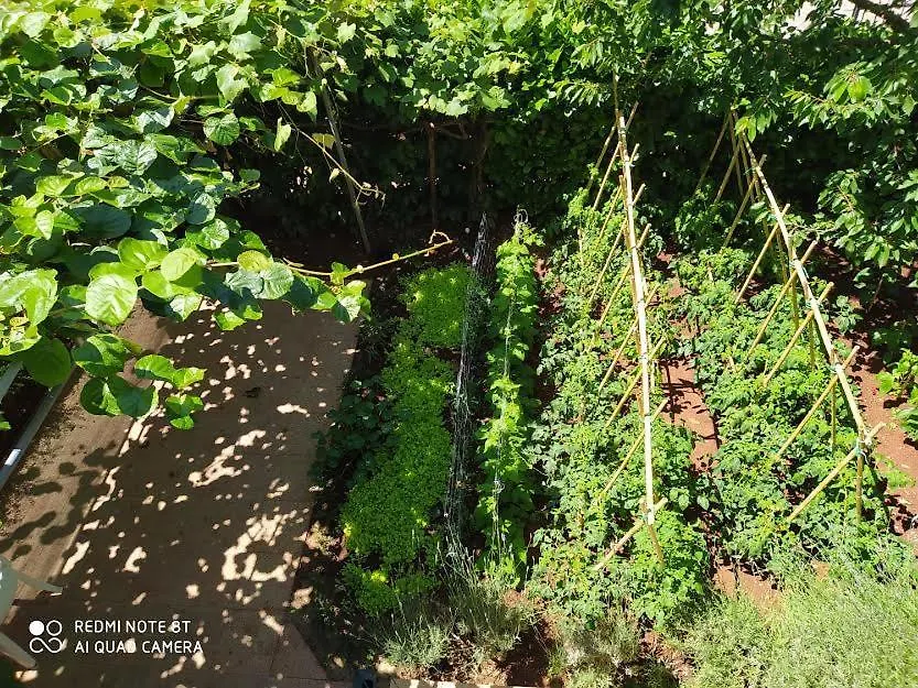 Apartman Snjezana Fažana Apartmán